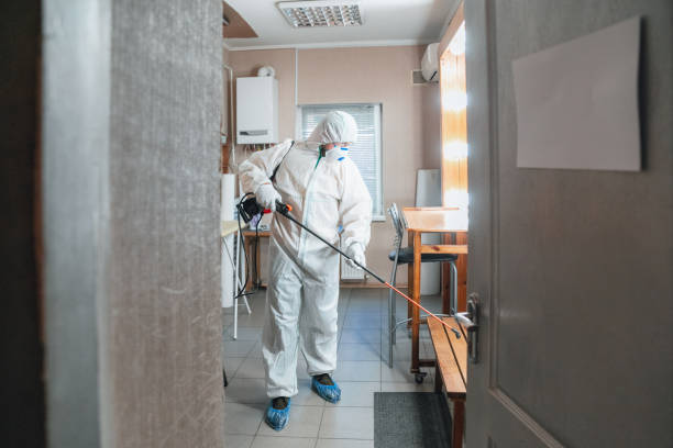 Best Basement Mold Removal  in Ford City, CA