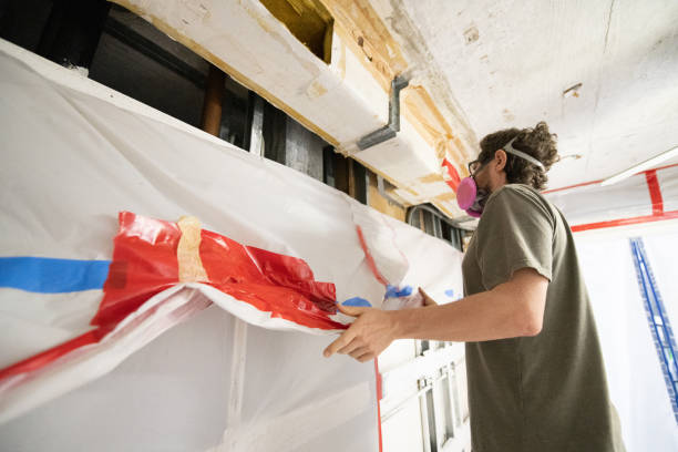 Best Crawl Space Mold Remediation  in Ford City, CA